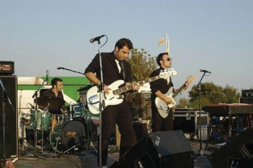 bradipos4
