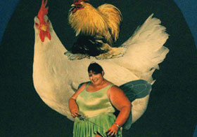 conte-gallina