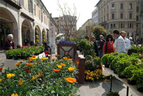 fiori-brescia