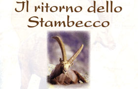 stambecco-ritaglio