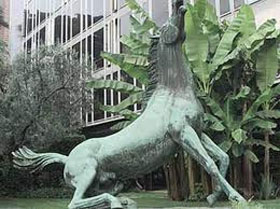 cavallo-rai