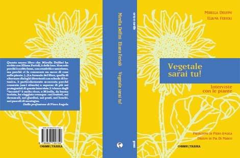 delfini-ferioli-di-marco
