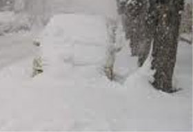 neve