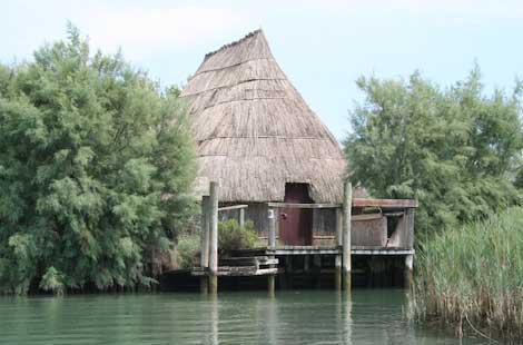 oasi-stella